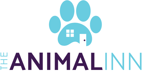 Welcome To The Animal Inn